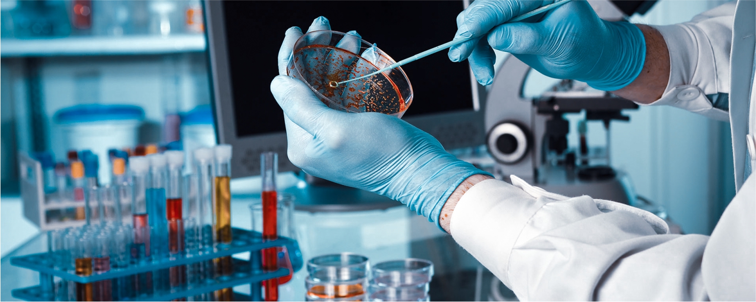 Comprendiendo los resultados de tus pruebas de laboratorio: una guía para pacientes